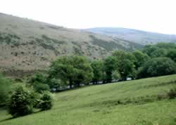 summer on Dartmoor